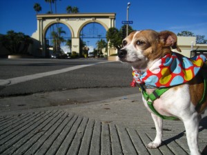 Romeo at Paramount Studios