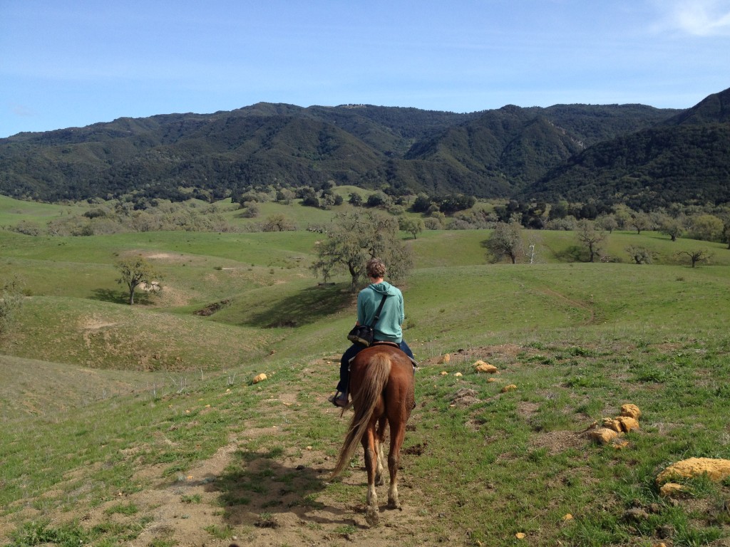 horseback riding, california santa ynez