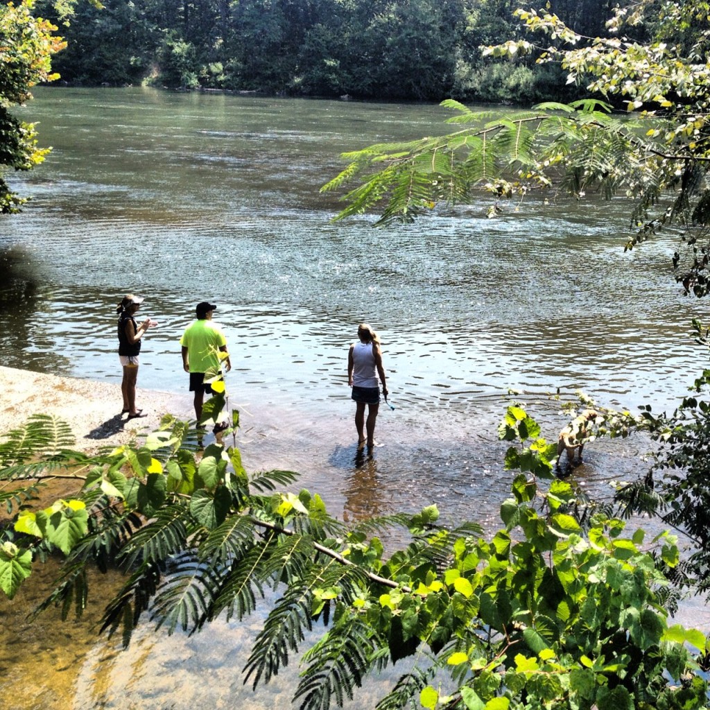 Chattahoochee River Dog Friendly