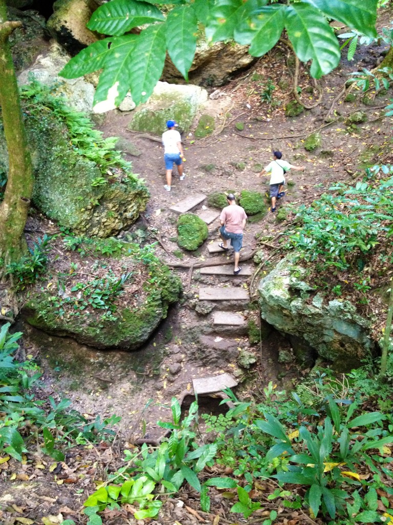 puerto rico cave