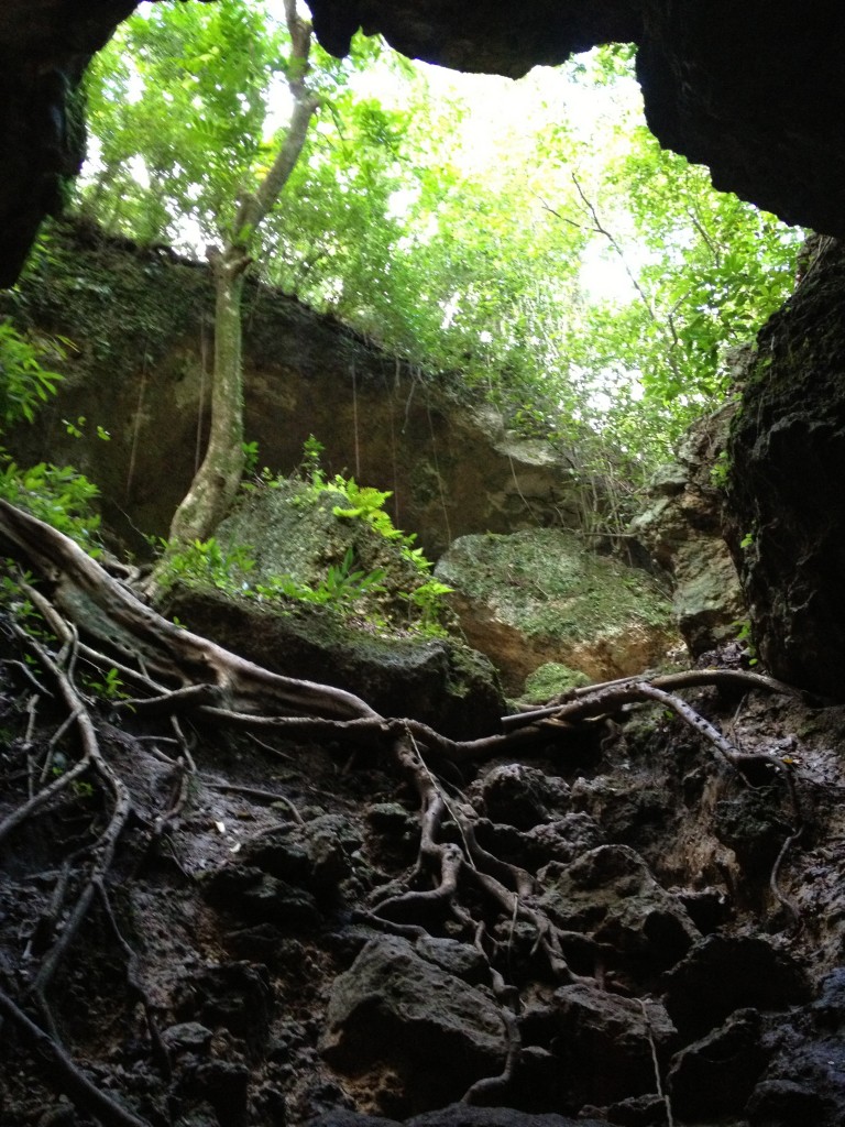 Puerto Rico Cave Adventures