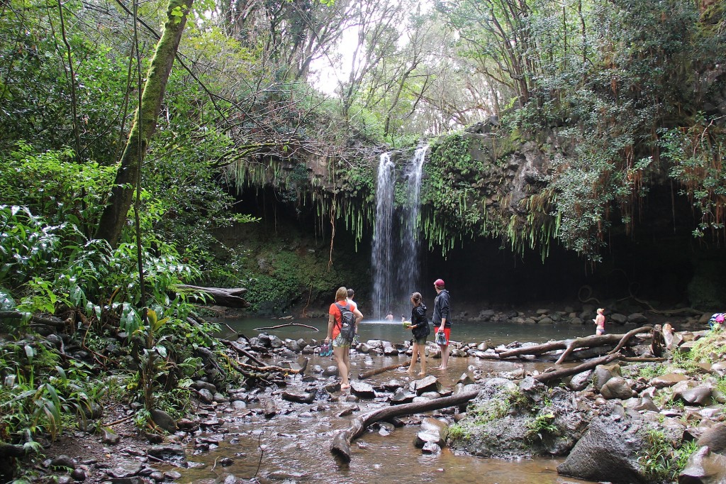 maui waterfalls twin falls