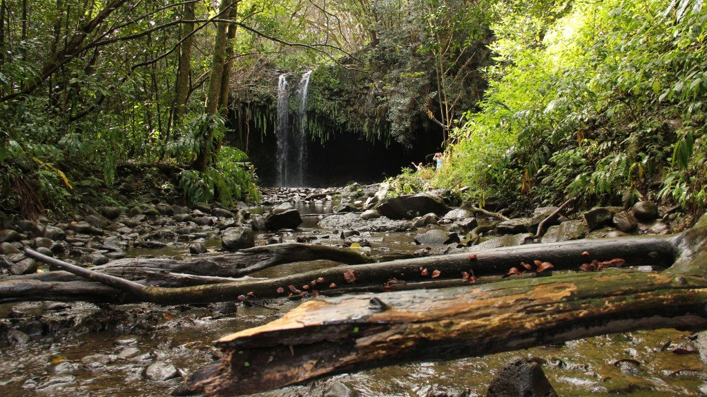 Road to Hana Must STop