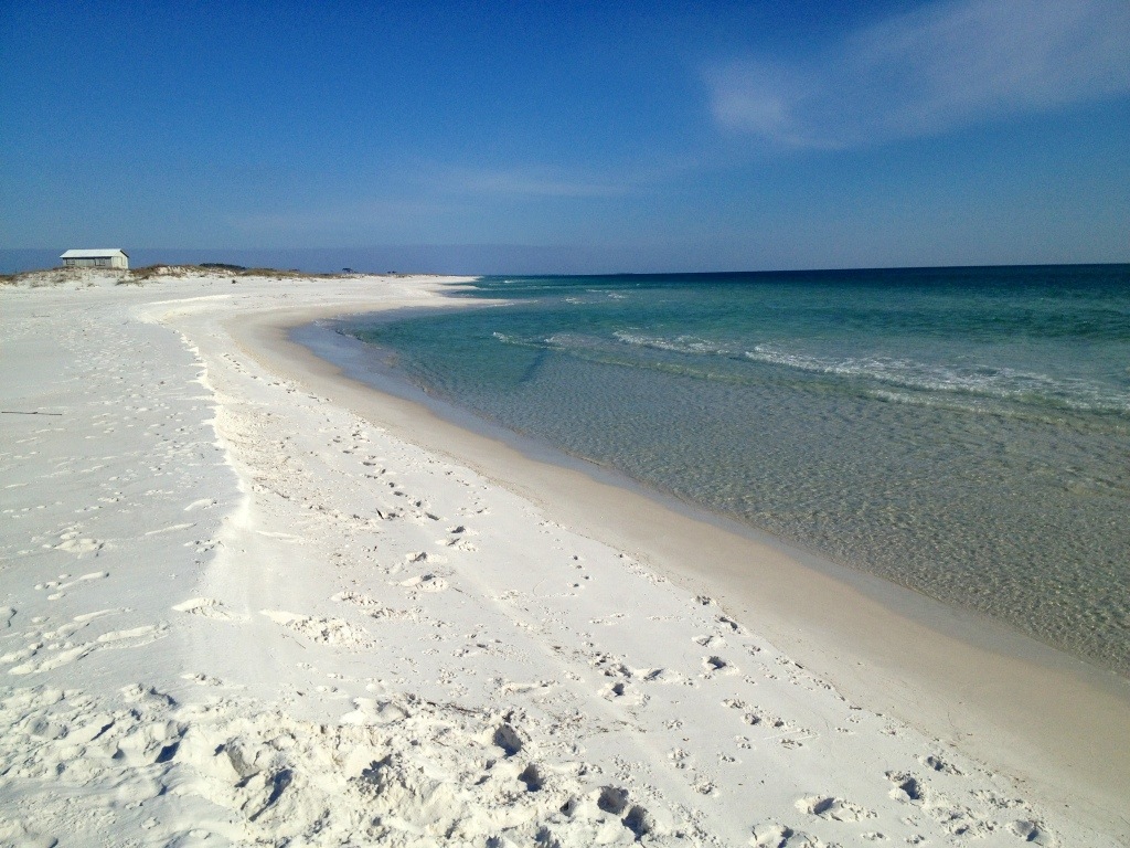 Rent a Pontoon Boat to Shell Island - Vagabond3