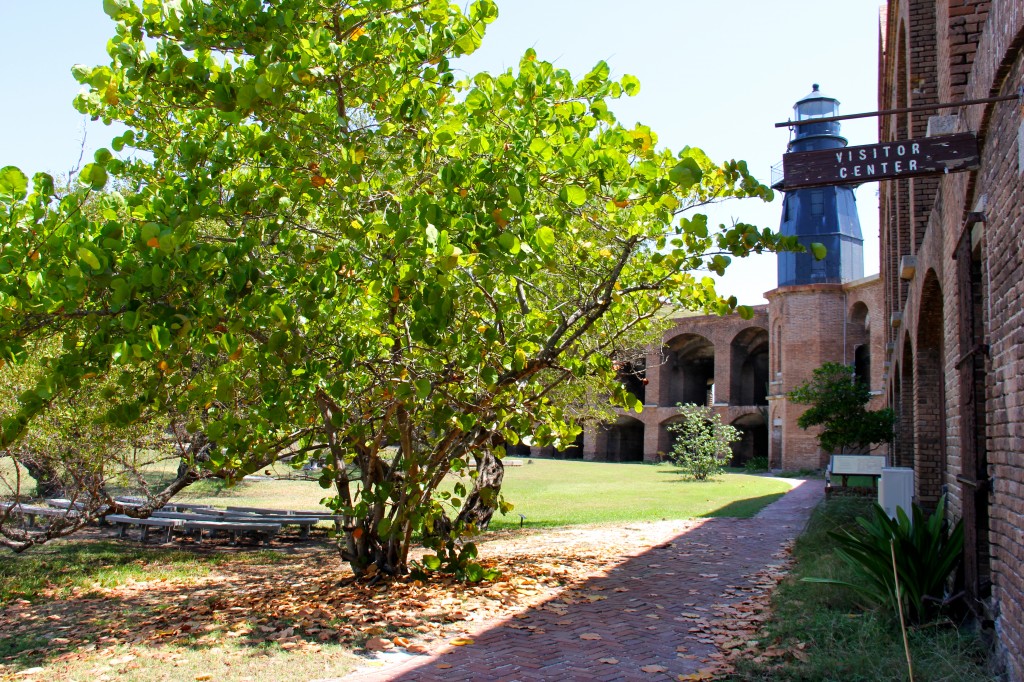 florida keys dry tortugas national park