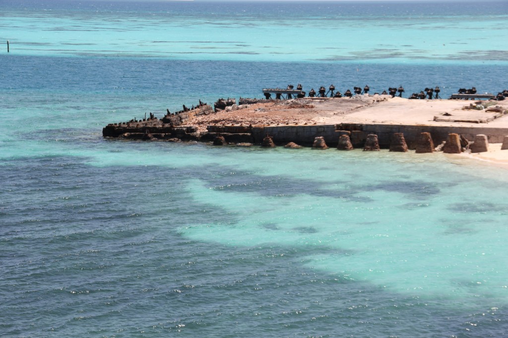 dry tortugas national park