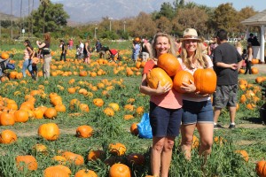 Pumpkin Patch Pomona holding pumpkins in the patch