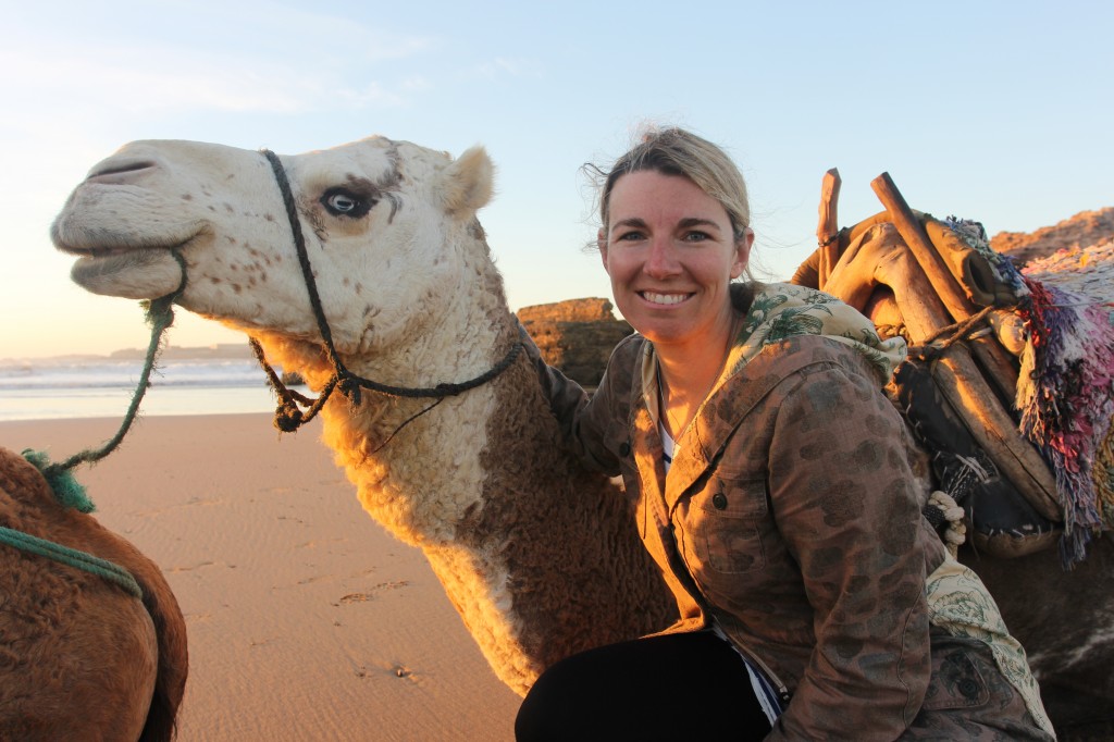 camels on the beach, Morocco