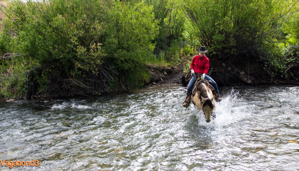 crossing trail creek on horseback - vagabond3
