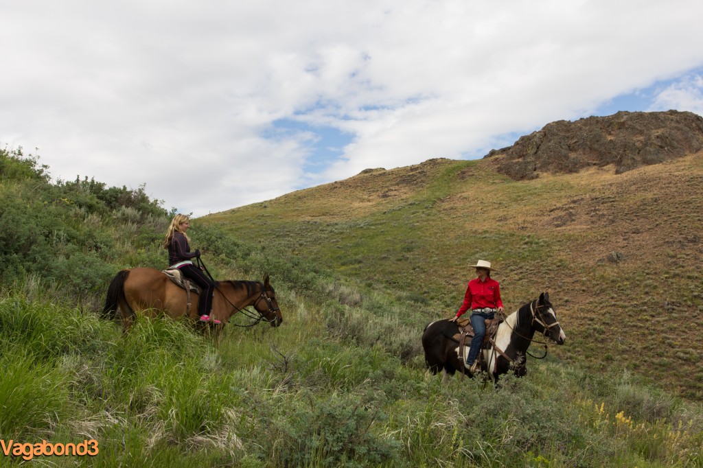 horseback riding - vagabond3