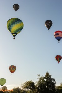 hot air balloons rising portrait - vagabond3