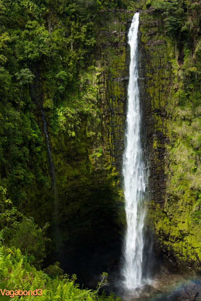 Akaka Falls Waterfalls in Hawaii