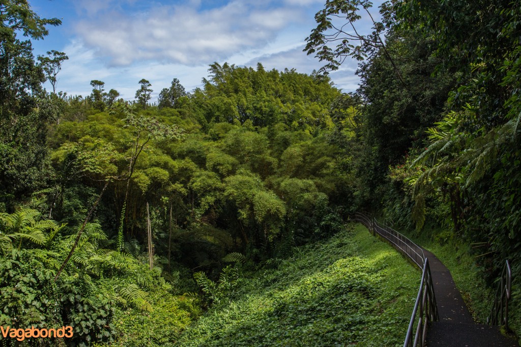 Akaka Falls Walk