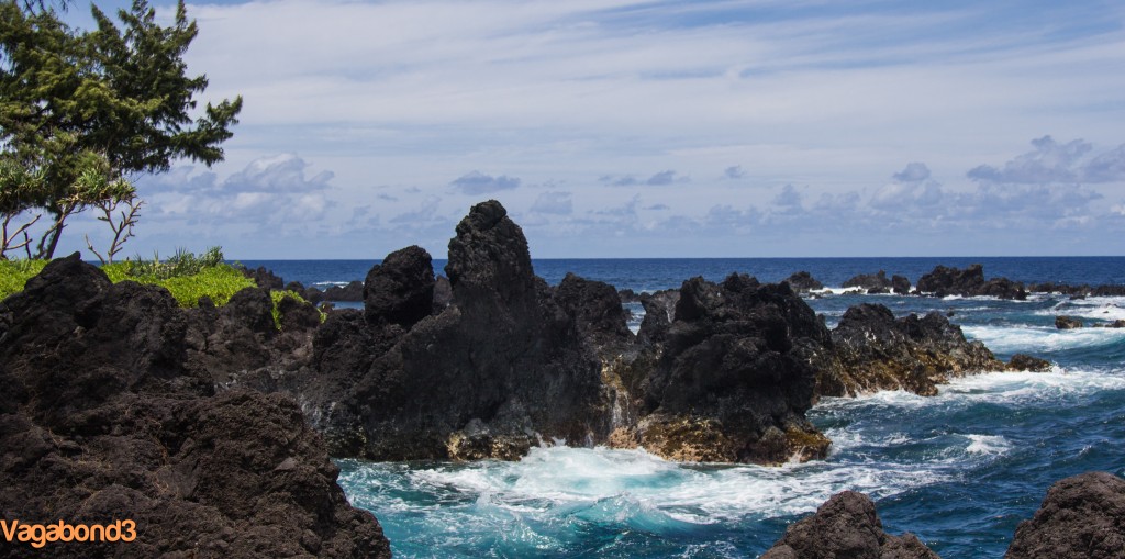 Laupahoehoe Shoreline