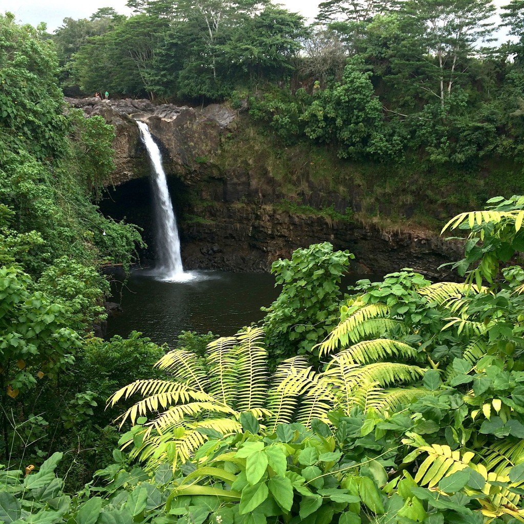 Waterfall in Hawaii near Hilo