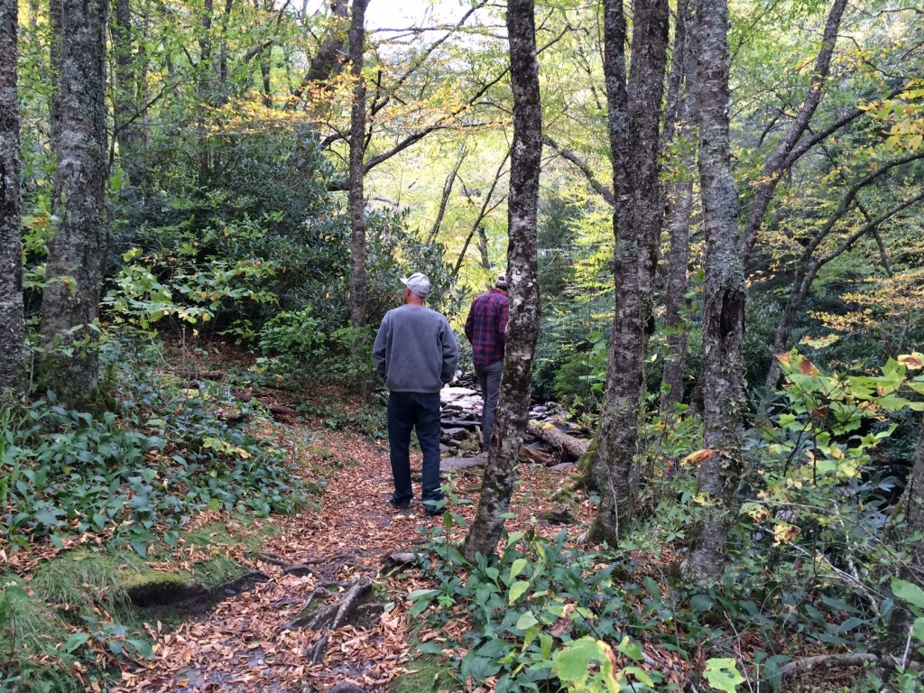 hiking in great smoky mountains 