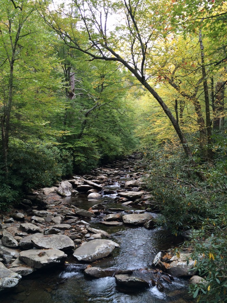 gatlinburg hiking