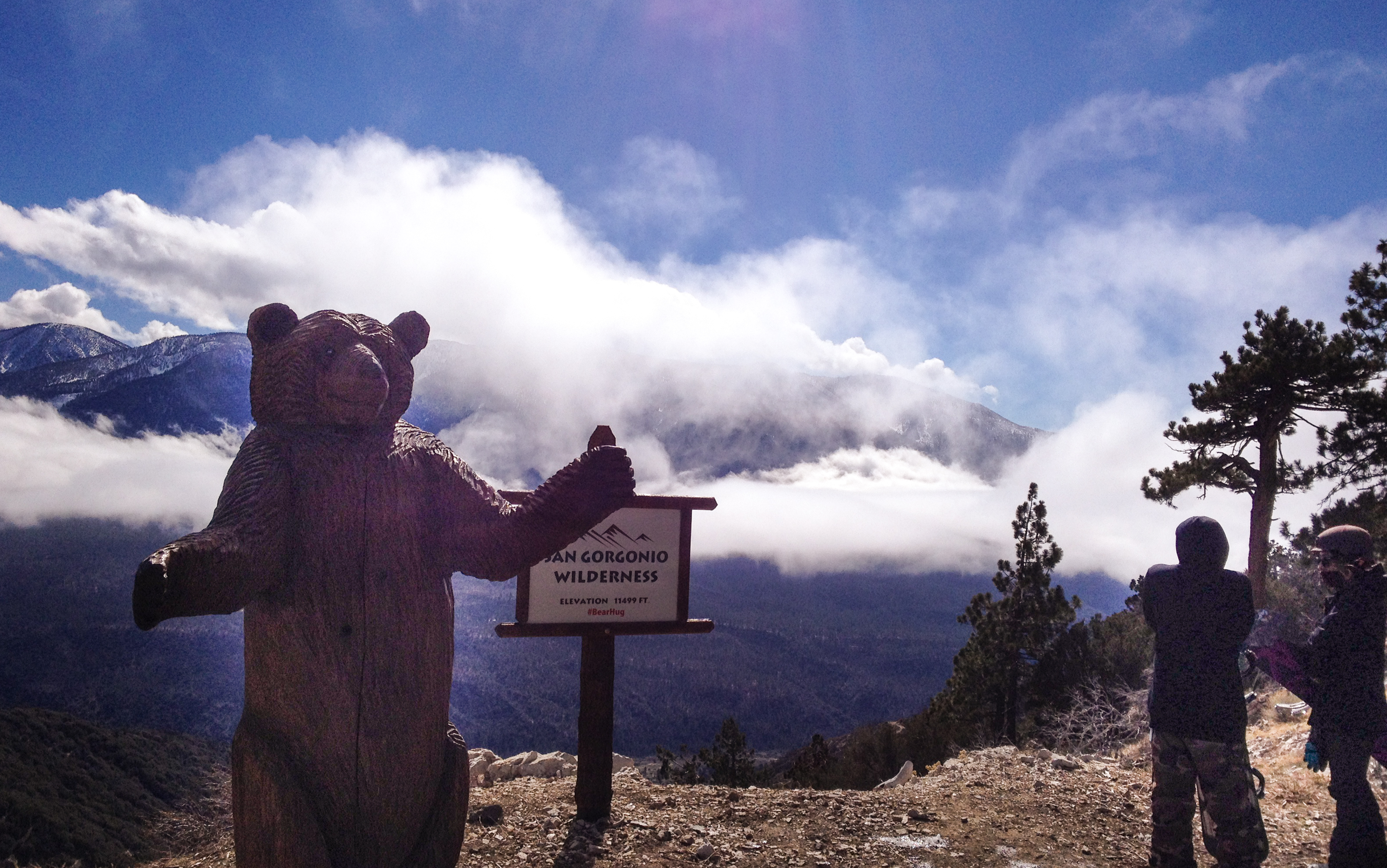 Bear mountain. Заповедник big Bar Калифорния. Биг Беар Калифорния. Гора Bear's Paw США.