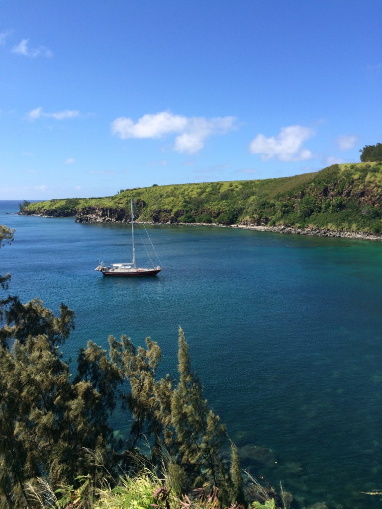 Maui sailing