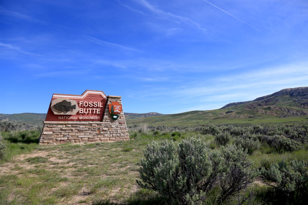 Fossil Butte National Monument