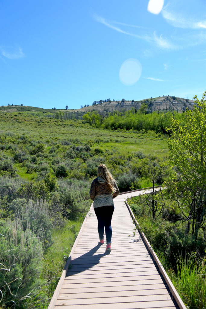 hiking fossil butte