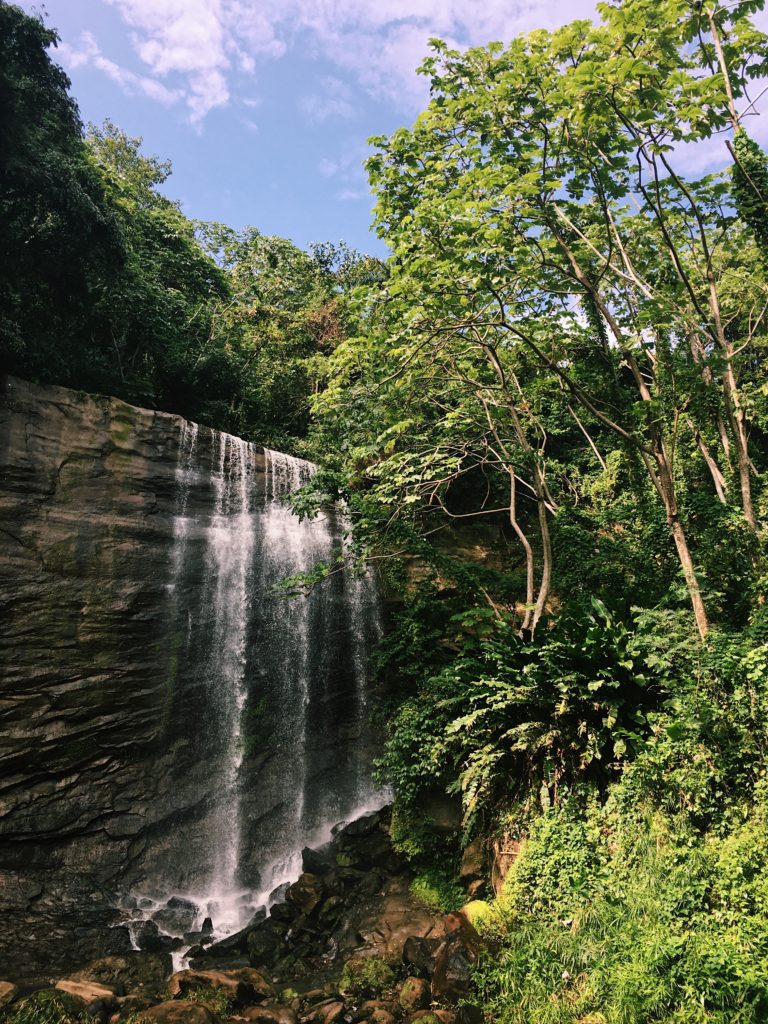 Grenada Travel Photos- Waterfall